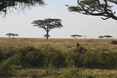 DSC_3792 (Large).JPG